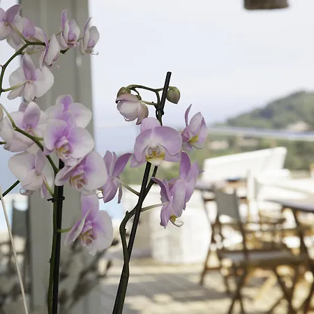 Es Cel De بيغور